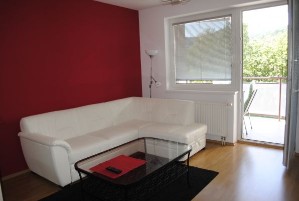 Interi�r apartm�nu - ob�va�ka