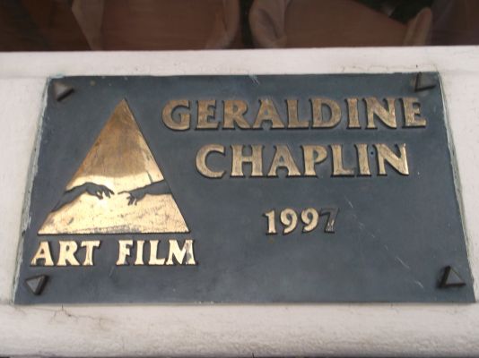 Most sl�vy- Art Film festival