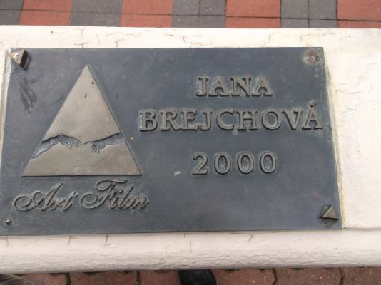 Most sl�vy- Art Film festival