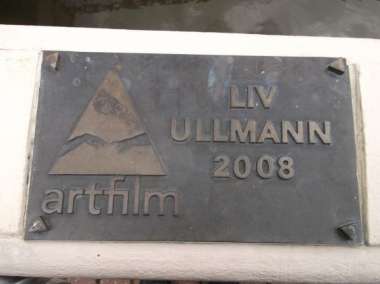 Most sl�vy- Art Film festival